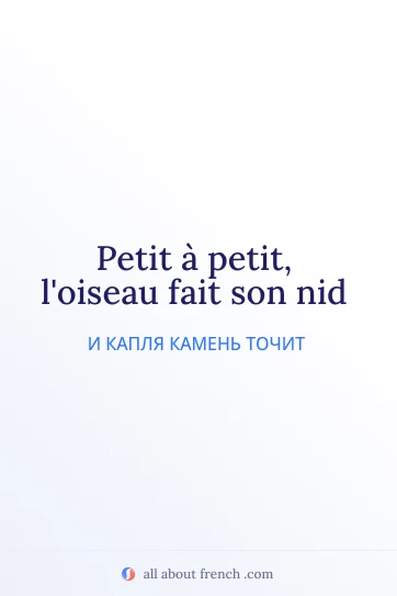 эстетичная французская цитата petit a petit loiseau fait son nid