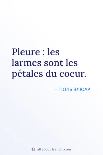 эстетичная французская цитата pleure larmes petales du coeur