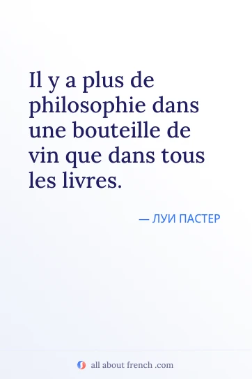 эстетичная французская цитата plus philosophie bouteille vin que livres