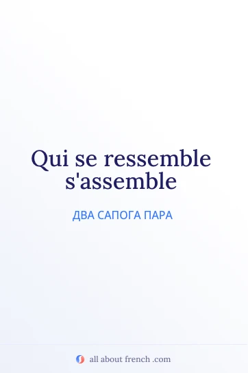 эстетичная французская цитата qui se ressemble sassemble