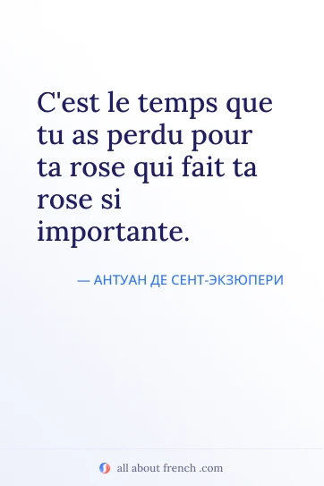 эстетичная французская цитата temps perdu pour ta rose