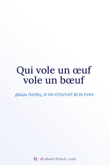 эстетичная французская цитата vole oeuf vole boeuf