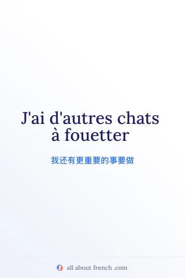 好看的法语名句 autres chats à fouetter