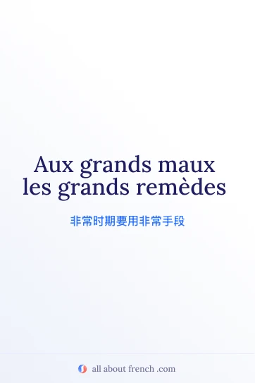 法语名言 aux grands maux les grands remèdes 精美配图