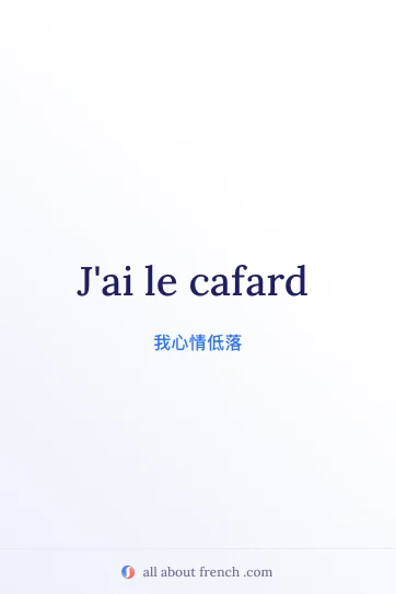 好看的法语习语 avoir le cafard