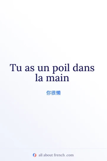 好看的法语名句 avoir poil dans la main