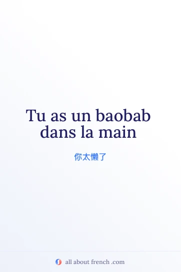 唯美法语名言 baobab dans la main