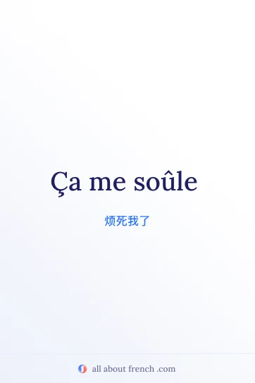 法语短语 ça me soule 的精美语录图
