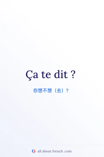 法语名言 ça te dit 唯美图片