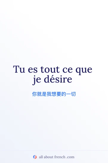 唯美法语句子 ce que je désire