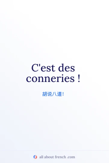 法语名句 c'est des conneries 的配图