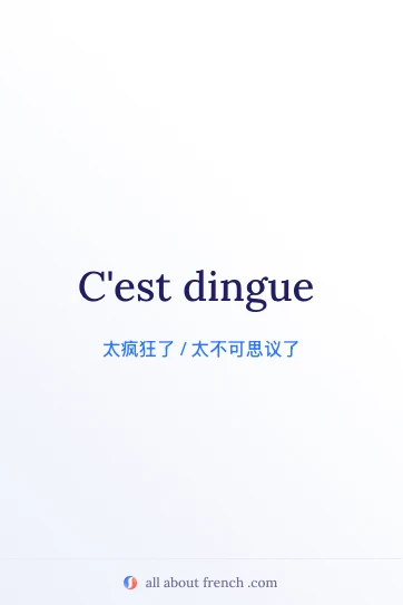 法语名句 c'est dingue 配图
