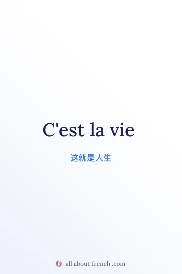 好看的法语名言 c'est la vie
