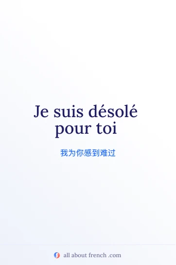 法语名言 desole pour toi 的美学图片