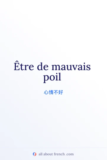 优美的法语名言 etre de mauvais poil