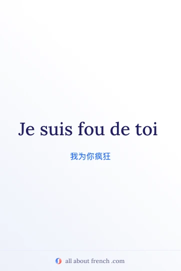 唯美法语句子 fou de toi