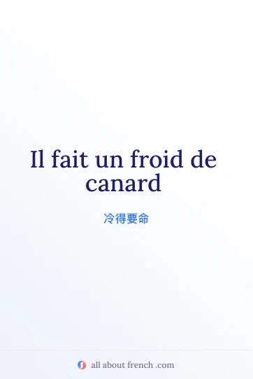 法语名言配图：froid de canard