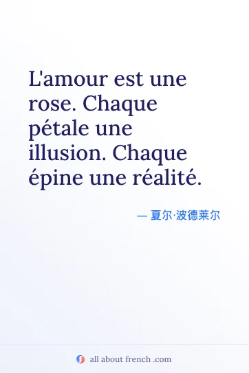 唯美法语名言 lamour est une rose