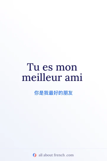 好看的法语名句 meilleur ami