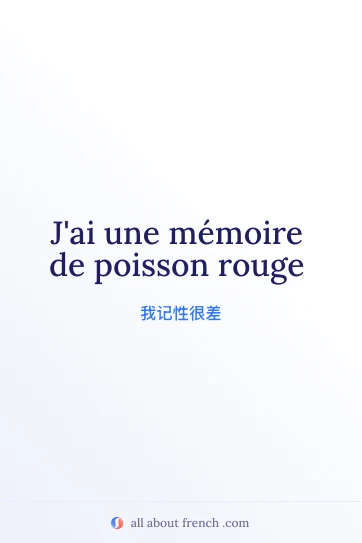 法语名言 memoire de poisson rouge 唯美图片