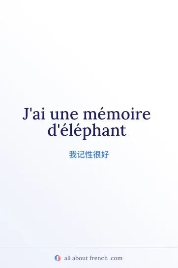 法语名言 memoire delephant 美图