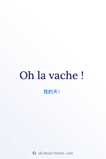 好看的法语习语 oh la vache