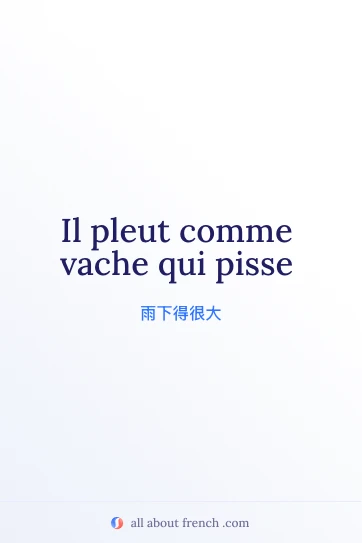 法语名言 pleut comme vache qui pisse 配图