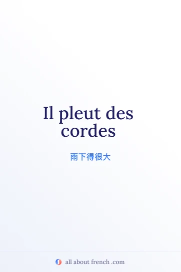 法语名言配图：pleuvoir des cordes