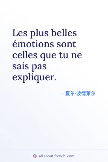 唯美法语名言 plus belles emotions inexplicables