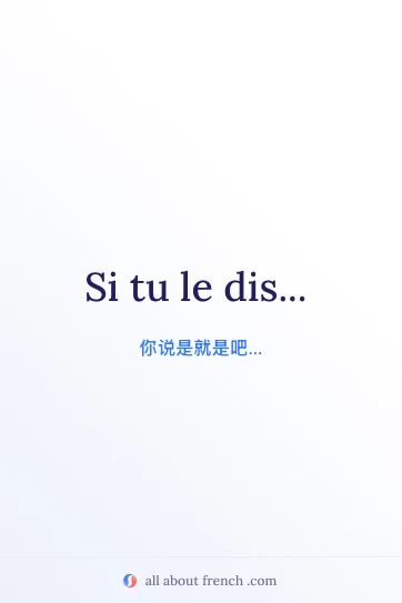 法语唯美引语 si tu le dis