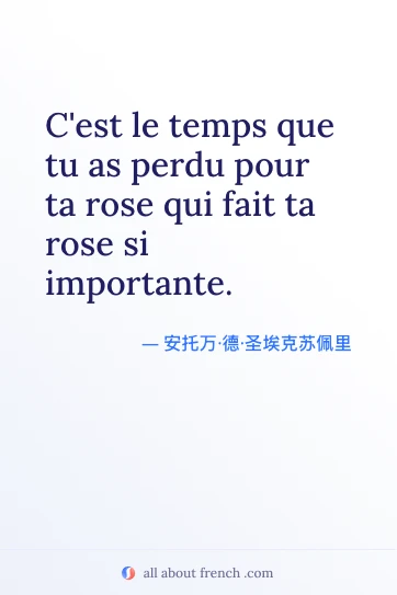 唯美法语名言 temps perdu pour ta rose