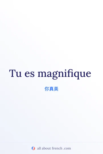唯美法语名句 tu es magnifique