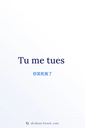 唯美法语句子 tu me tues