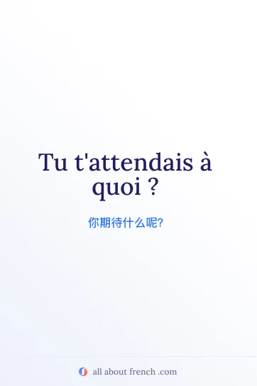 法语名言配图：tu t'attendais à quoi