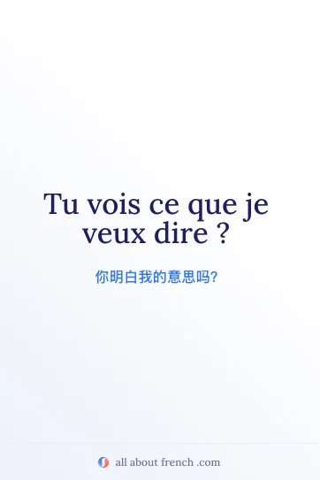 法语名句 vois ce que je veux dire 美图